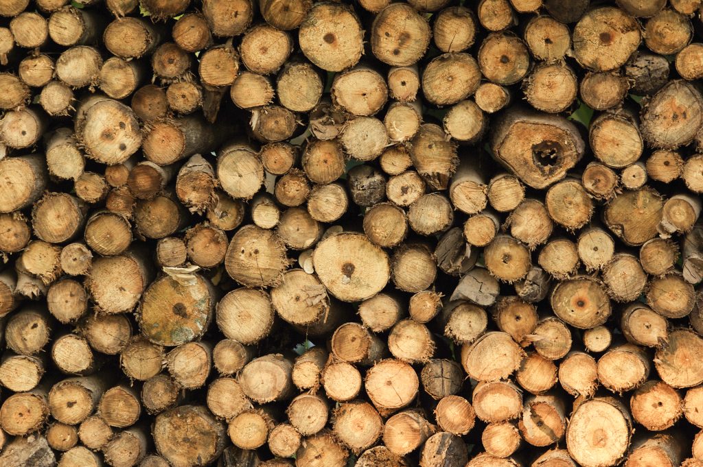 background of dry chopped firewood logs stacked up on top of each other in a pile SPwg6myu2fl