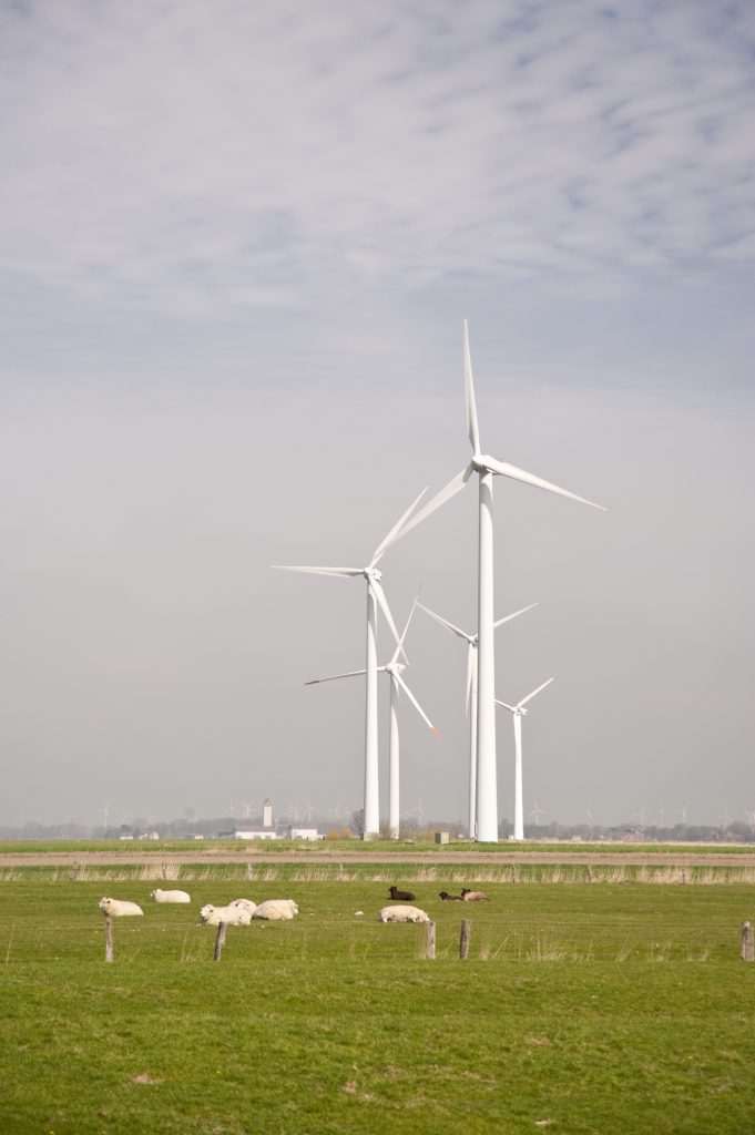 wind energy zyBycV5O 1